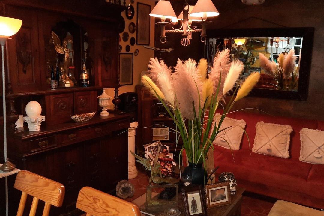 Photo of Livingroom in Benito Juarez