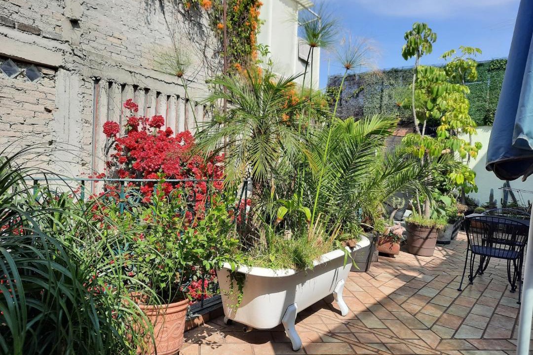 Photo of Patio Balcony in Benito Juarez