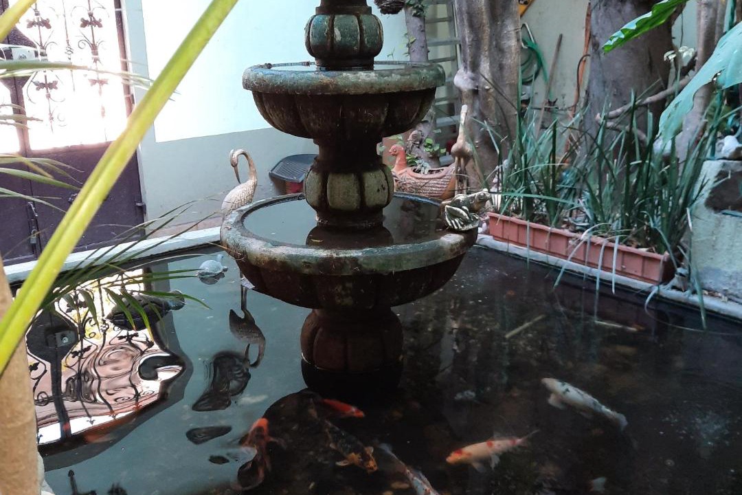Photo of Patio Balcony in Benito Juarez