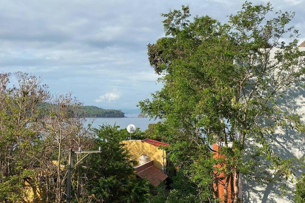 Photo of Others in Chacala
