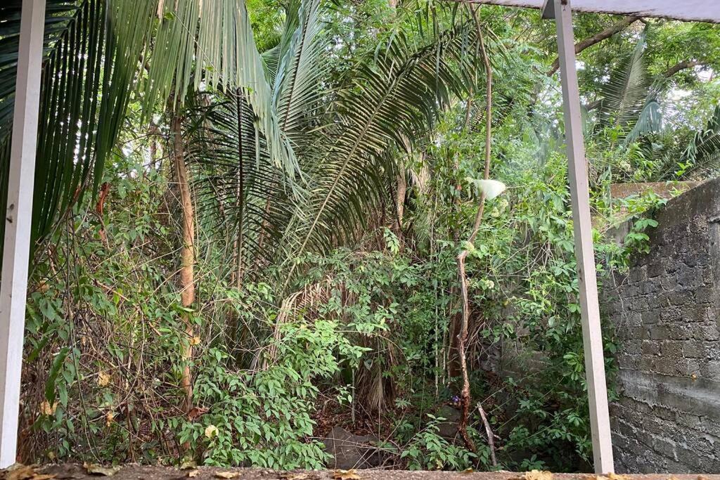 Photo of Others in Chacala