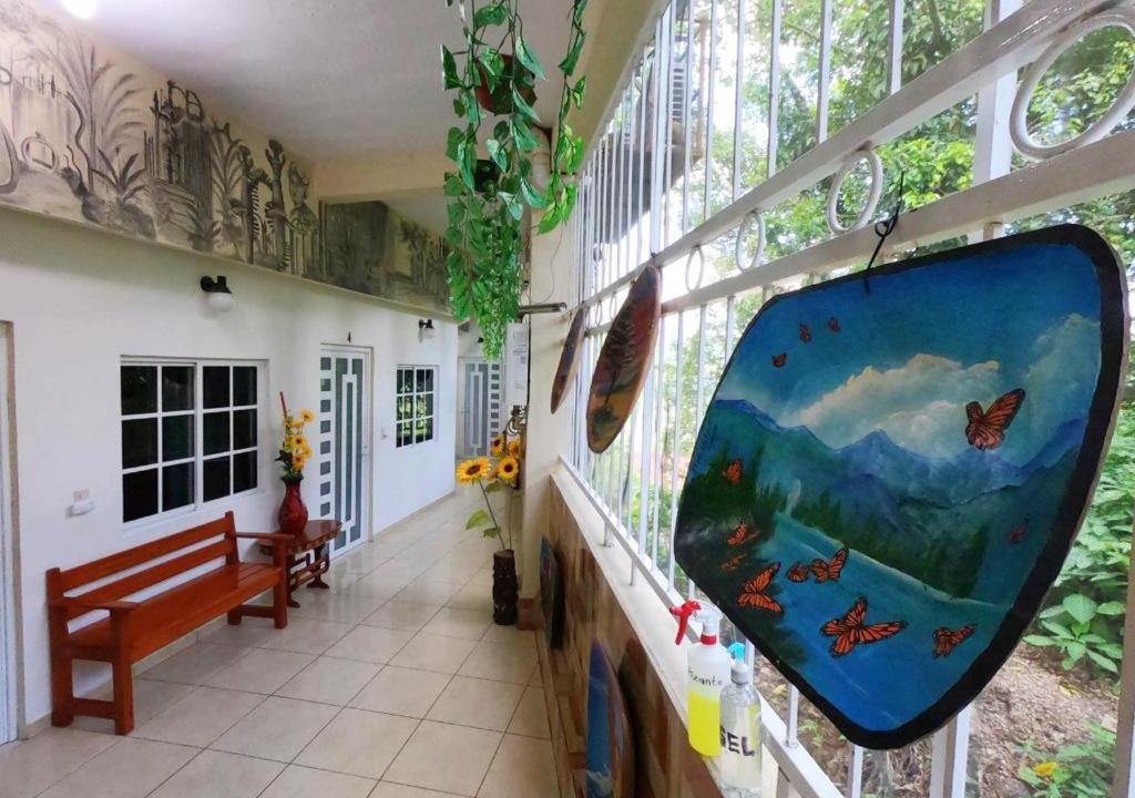Photo of Others in Xilitla
