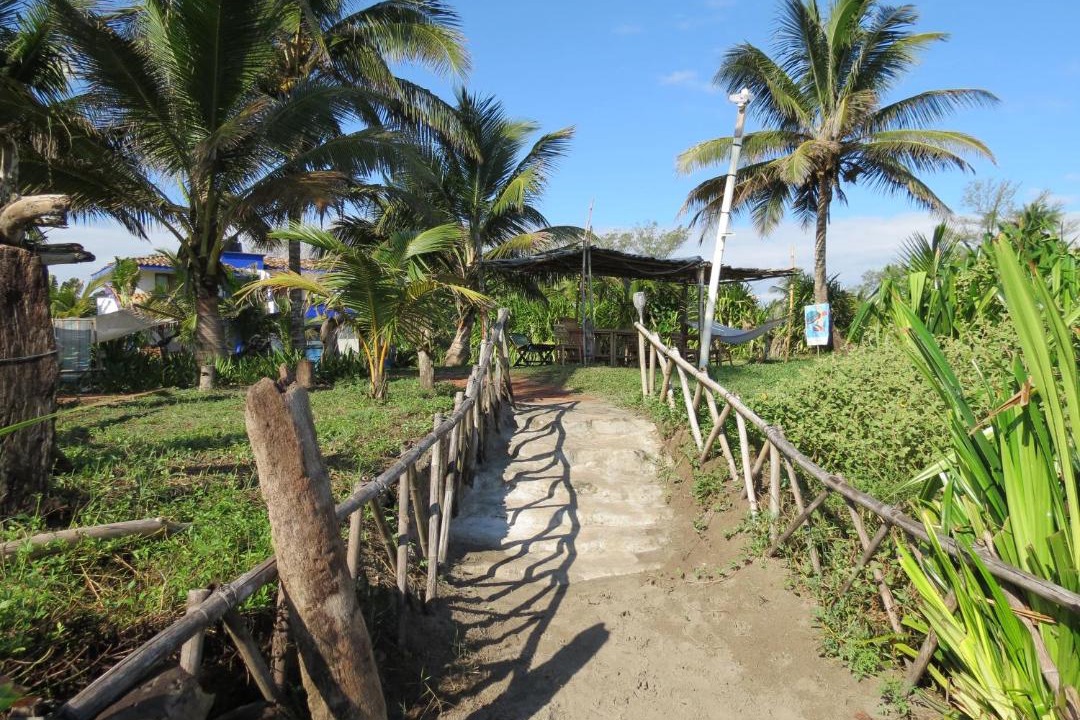Photo of Others in Tecolutla