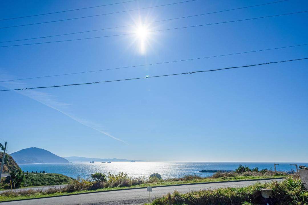 Photo of Others in Port Orford