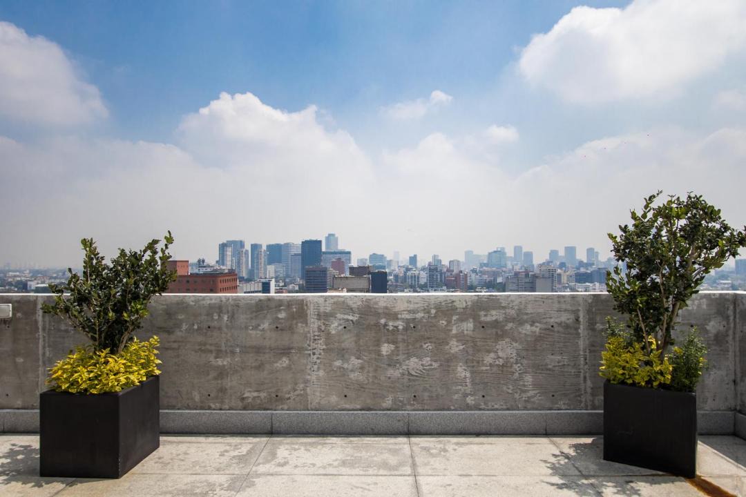 Photo of Others in Miguel Hidalgo