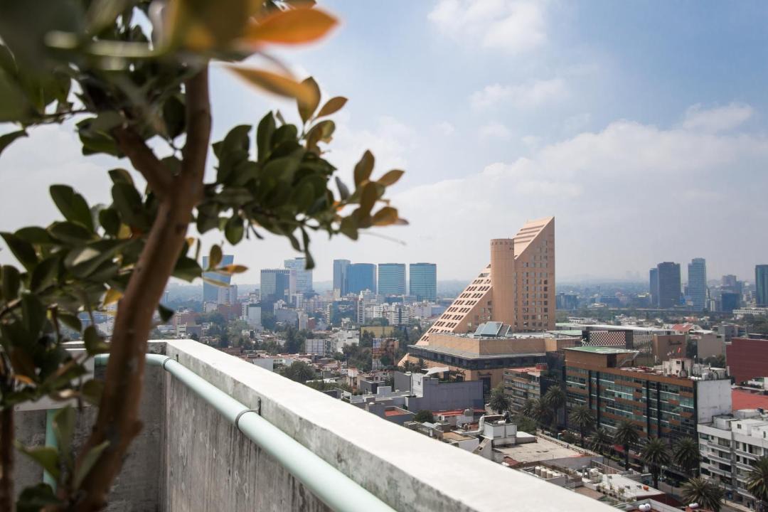 Photo of Others in Miguel Hidalgo