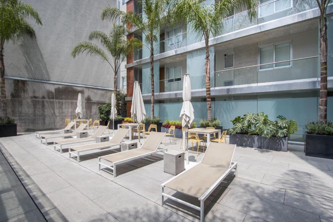 Photo of Others in Miguel Hidalgo