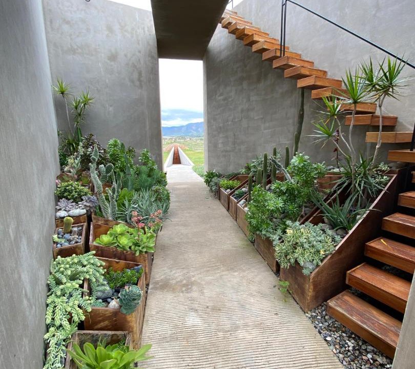 Photo of Others in Valle de Guadalupe