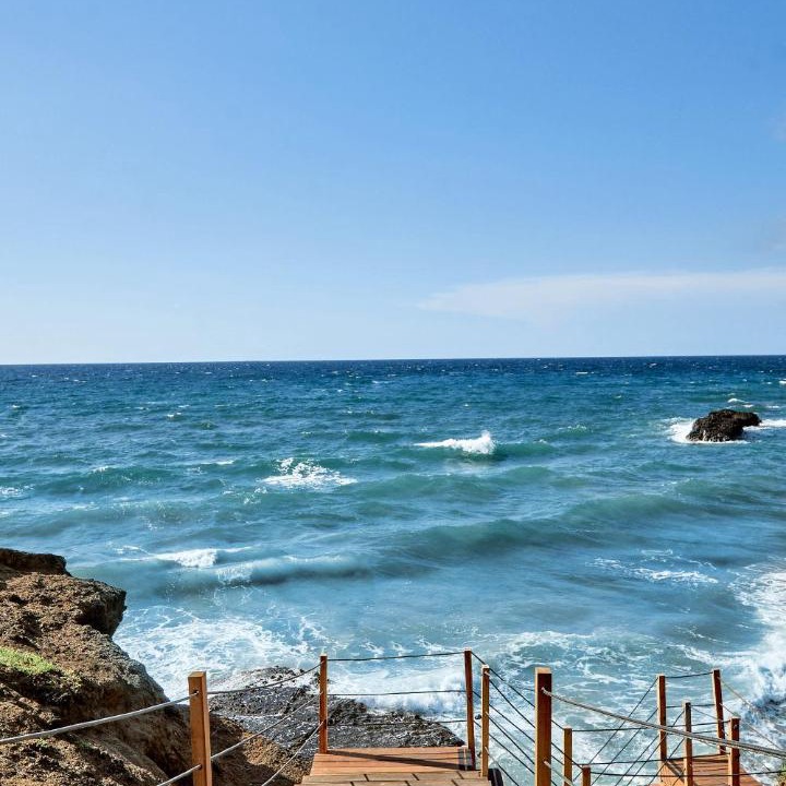 Photo of Others in Punta Negra