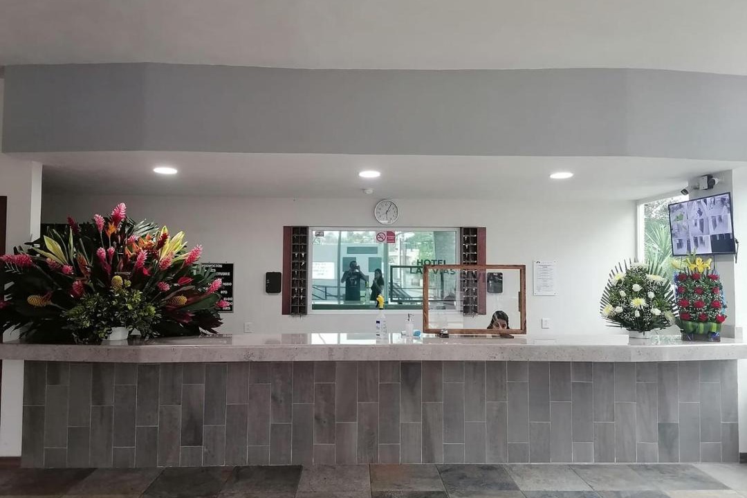 Photo of Livingroom in Fortin de las Flores