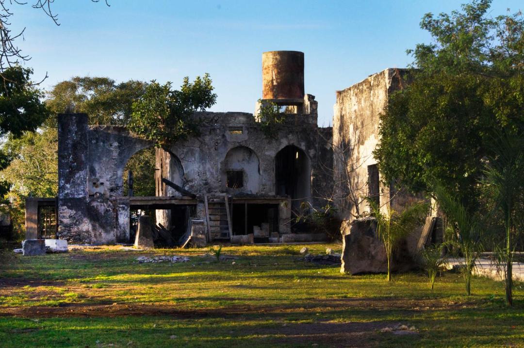 Photo of Buildings in Merida Municipality