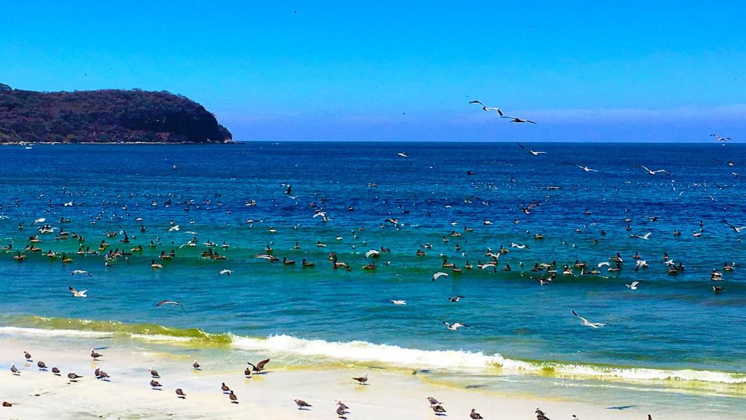 Photo of Outdoor in Punta Negra