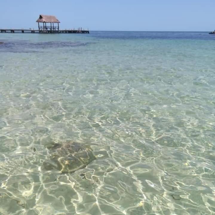 Photo of Others in Campeche