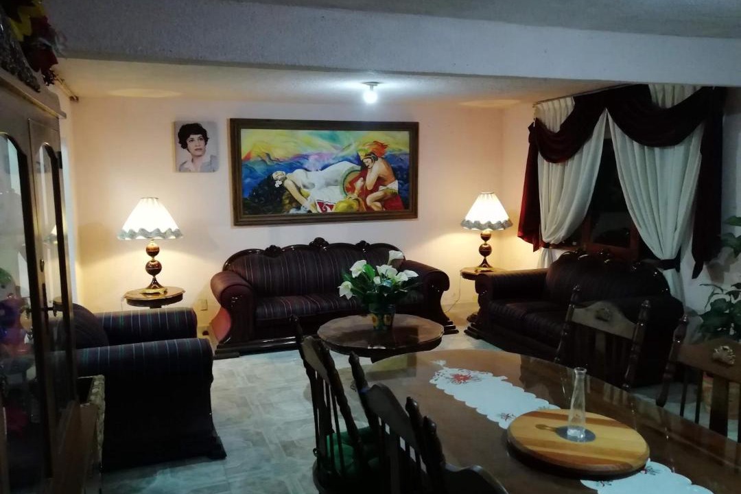 Photo of Livingroom in De Mexicanos