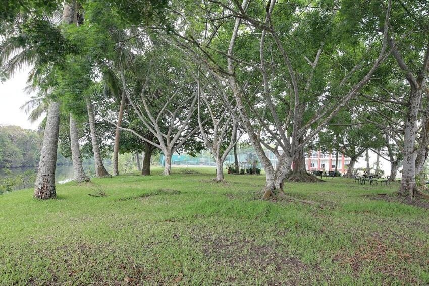 Photo of Others in Tuxpan