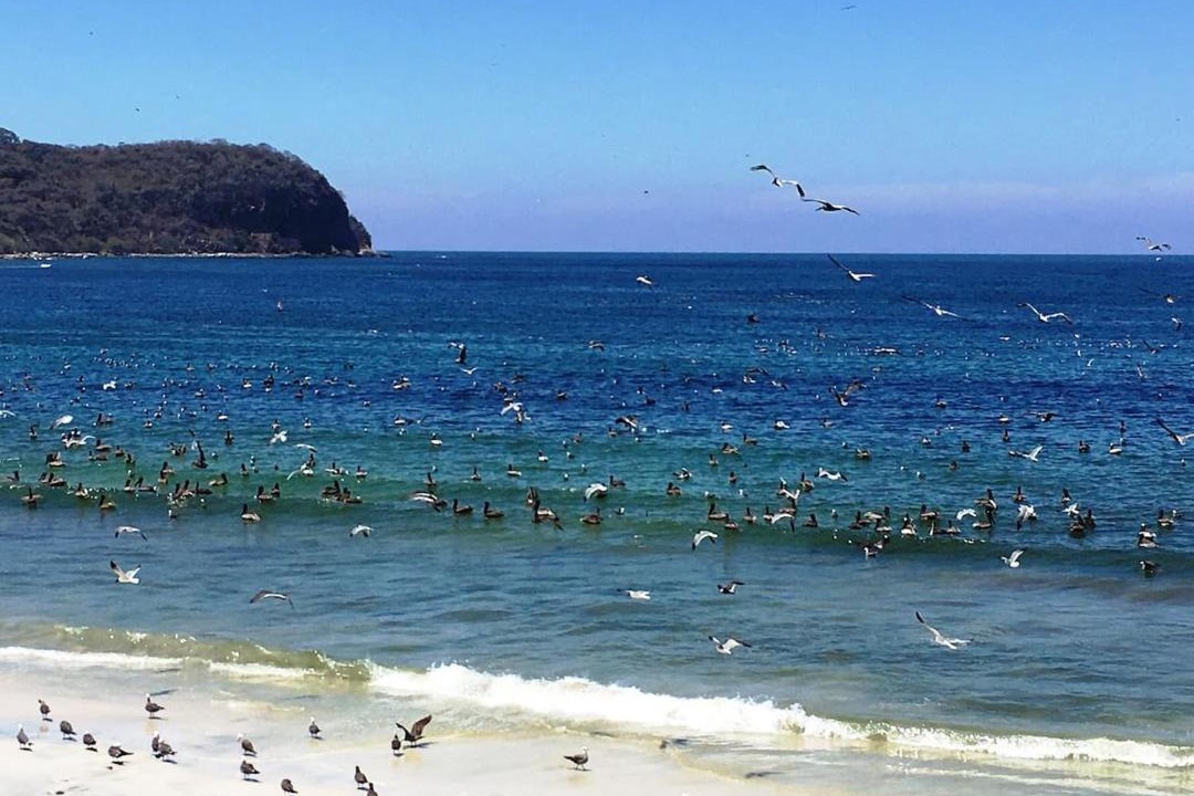 Photo of Outdoor in Punta Negra