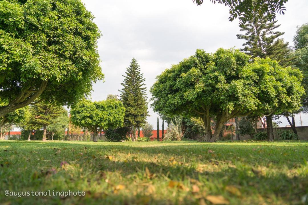 Photo of Others in Cholula