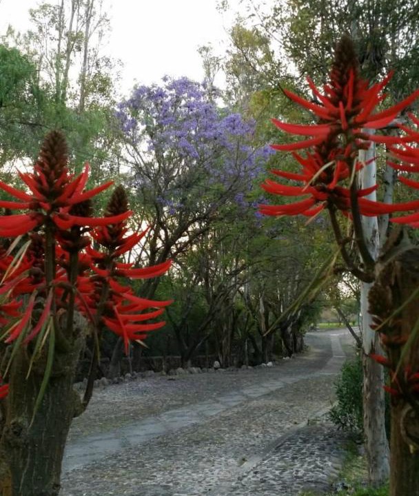 Photo of Outdoor in Tequisquiapan