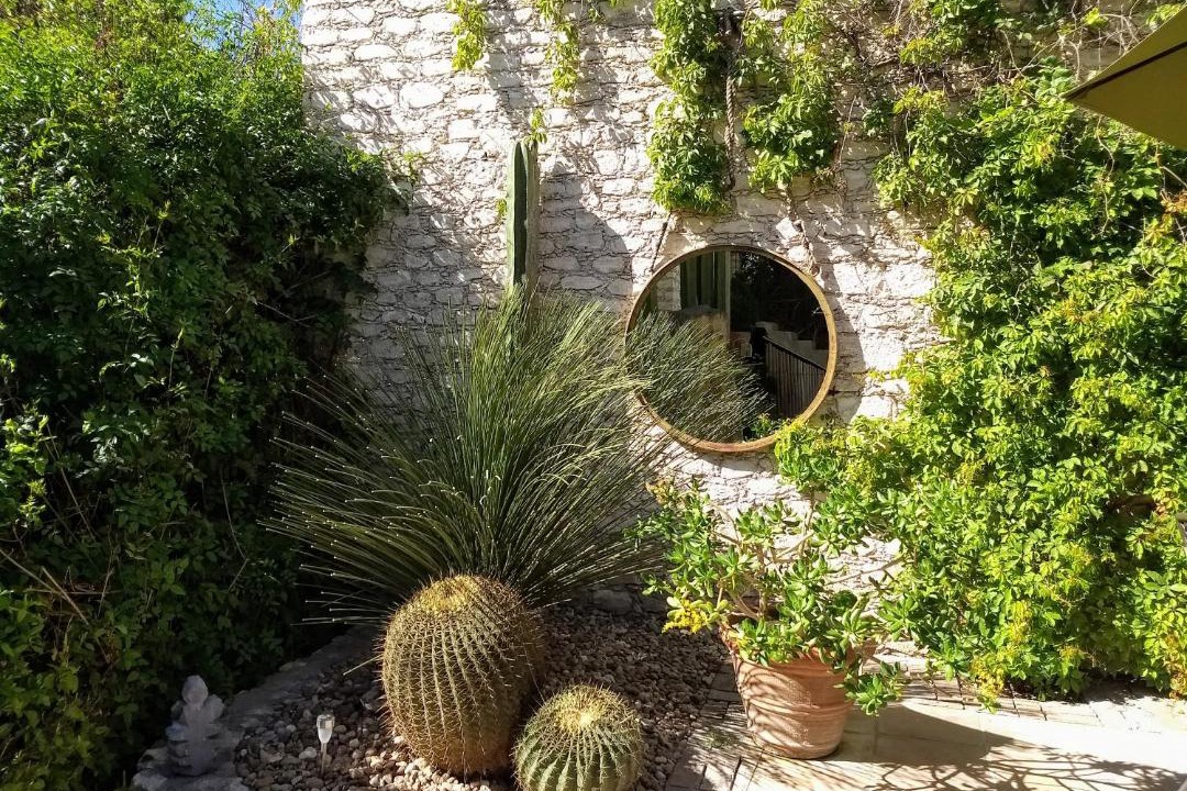 Photo of Others in Mineral de Pozos