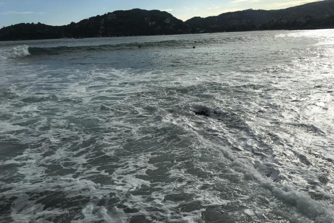 Photo of Others in Playa la Madera
