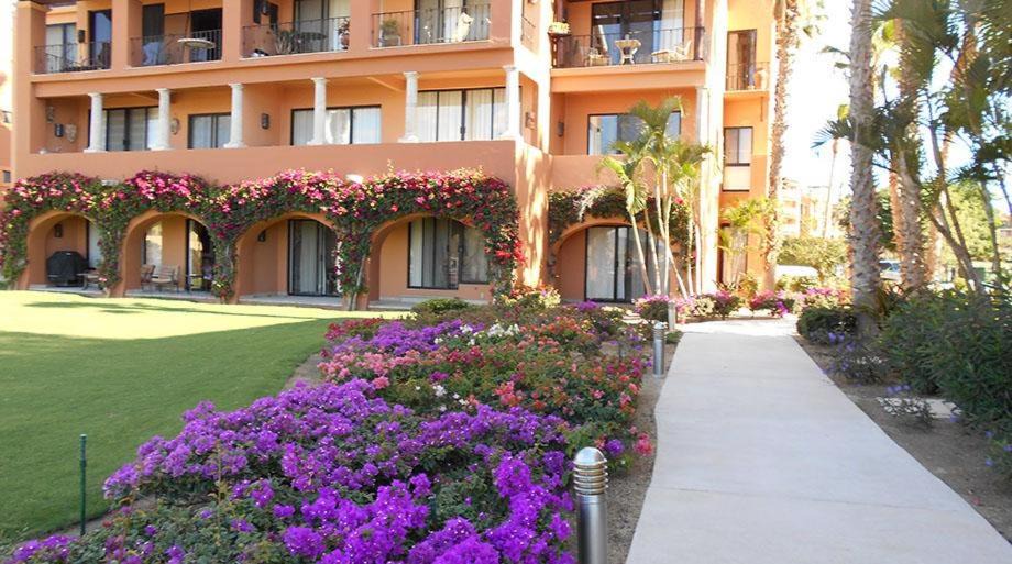 Photo of Buildings in San Jose del Cabo