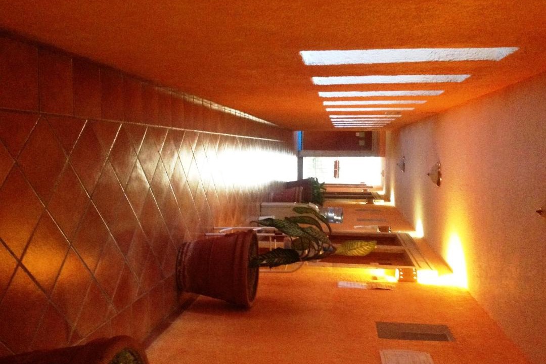 Photo of Livingroom in Tequila