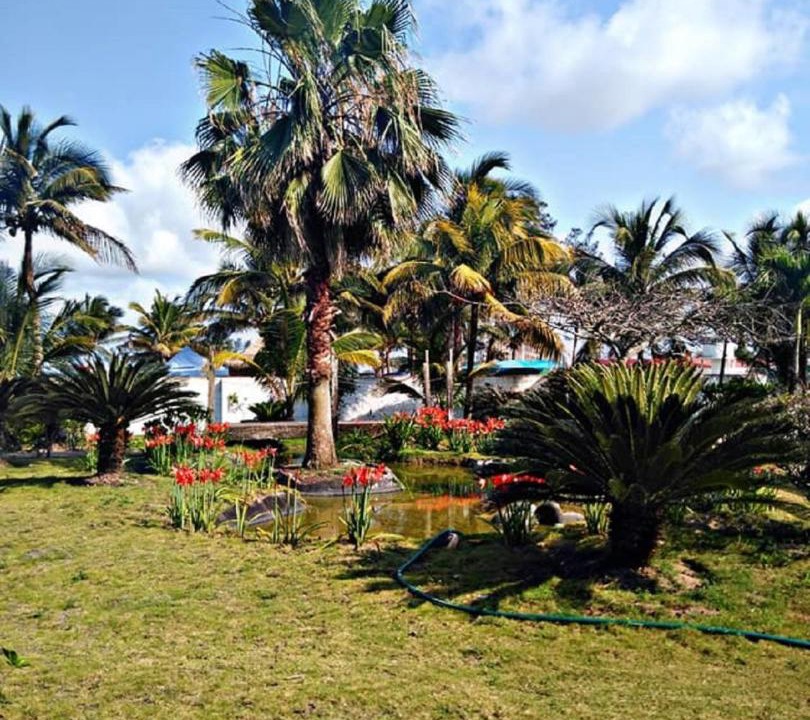 Photo of Others in Tecolutla