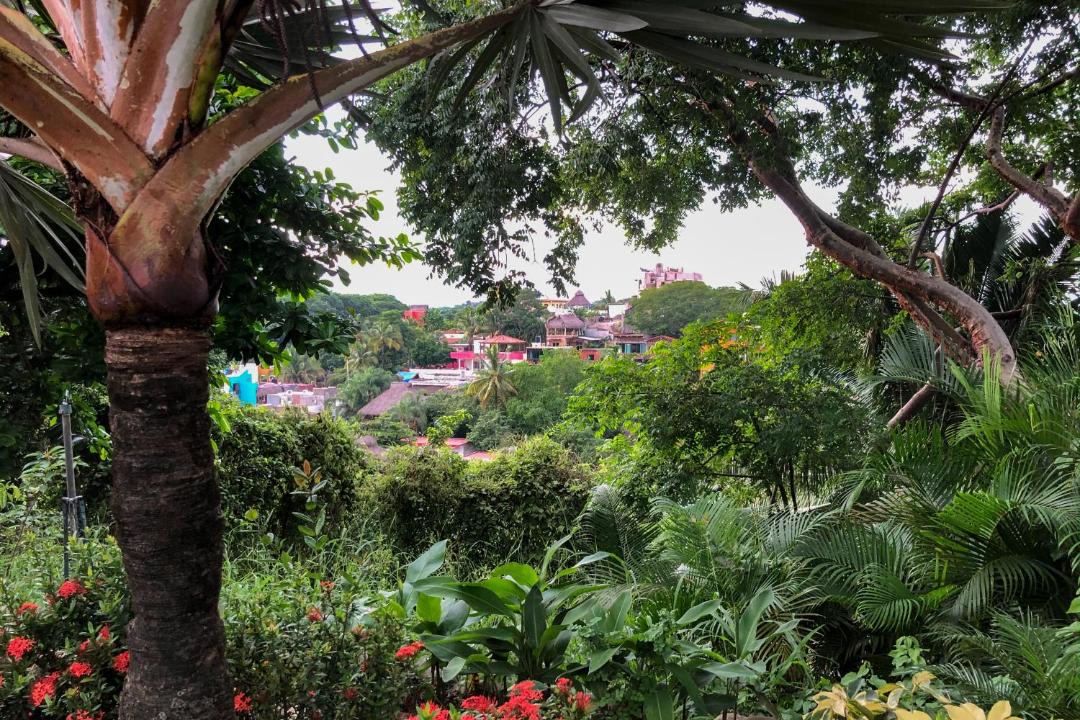 Photo of Others in Sayulita