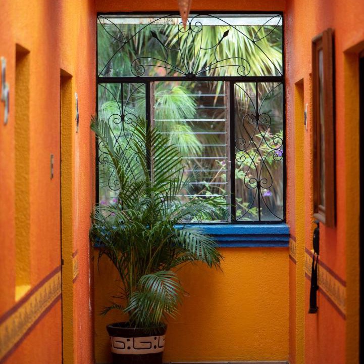 Photo of Others in Del Cerrillo