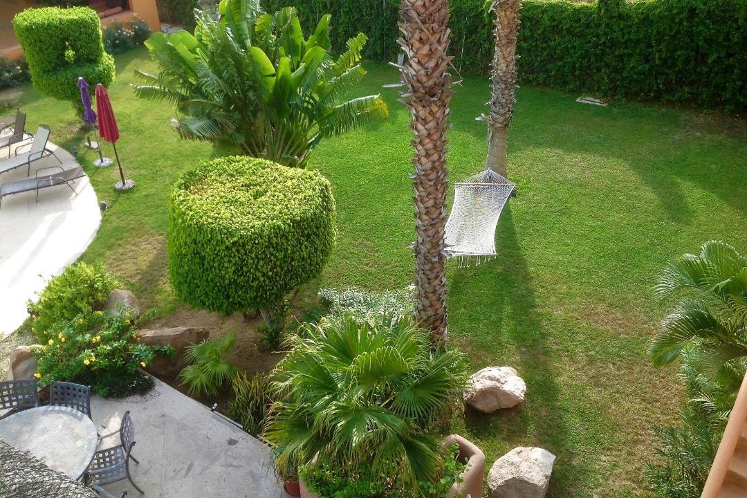 Photo of Others in El Tezal