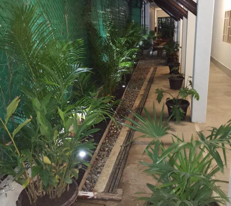 Photo of Patio Balcony in Centro