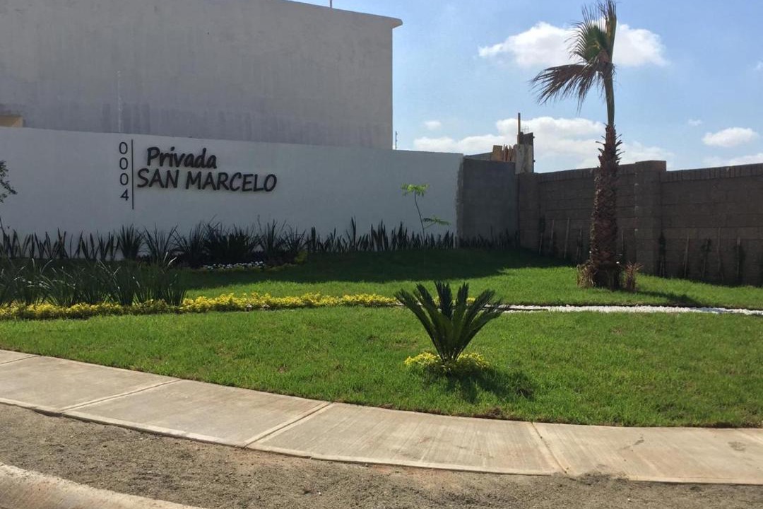 Photo of Others in Mazatlan