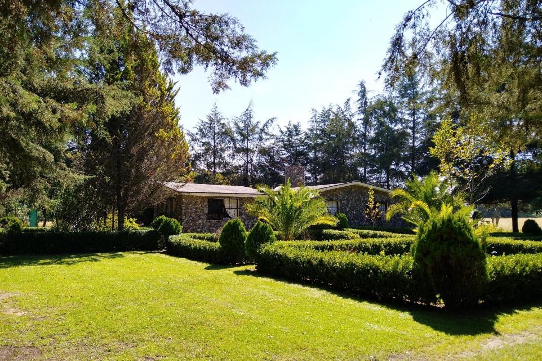 Photo of Others in Huasca De Ocampo