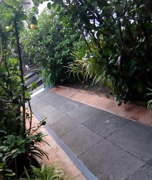 Photo of Others in Coatepec