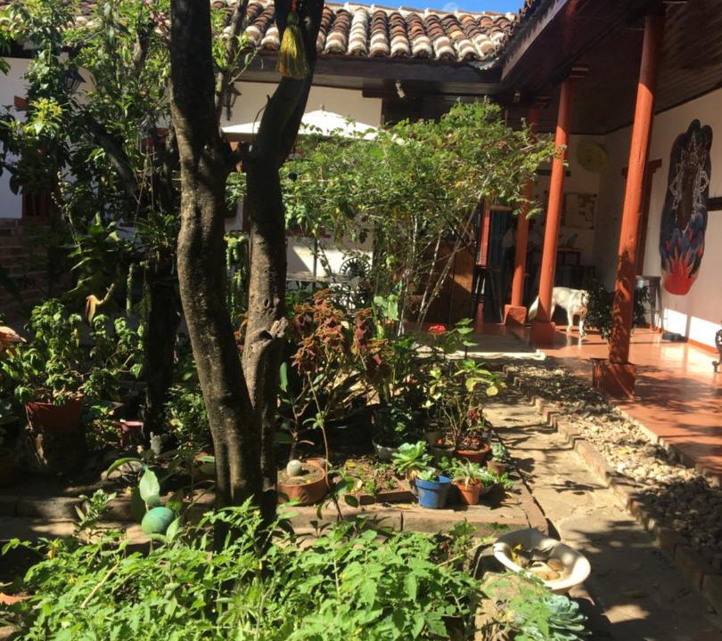 Photo of Others in Del Cerrillo