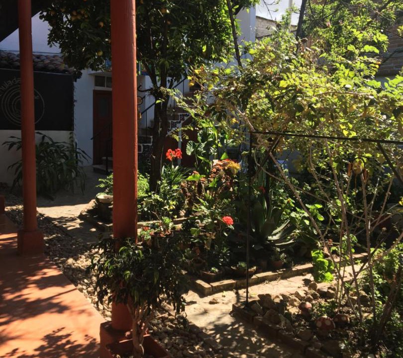 Photo of Others in Del Cerrillo