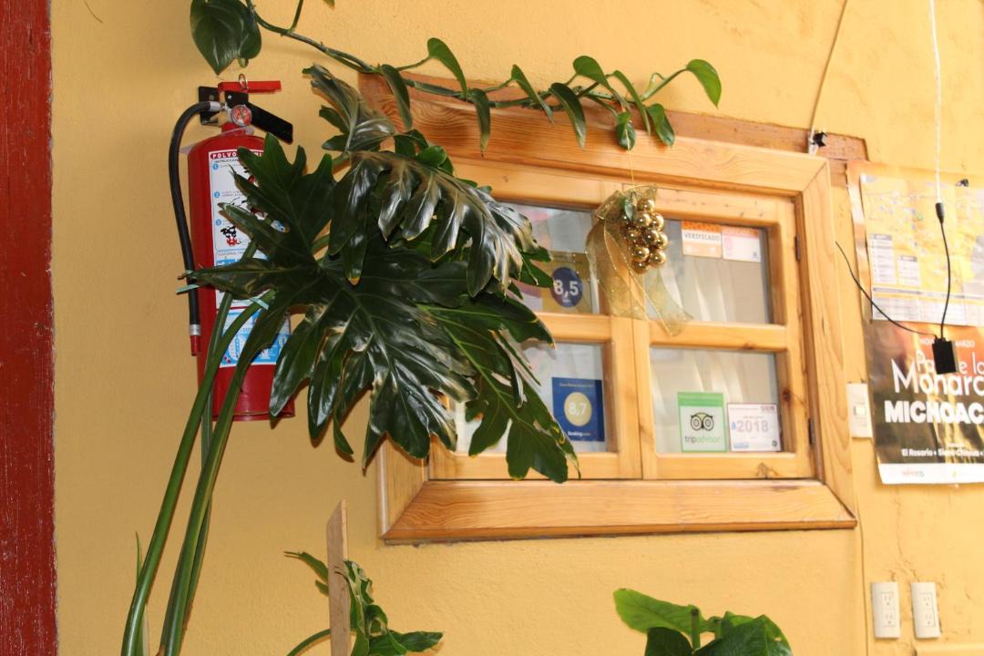Photo of Others in El Oro