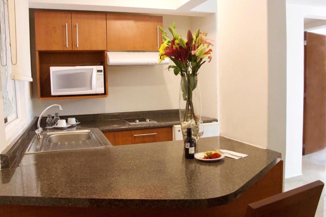 Photo of Kitchen in Polanco