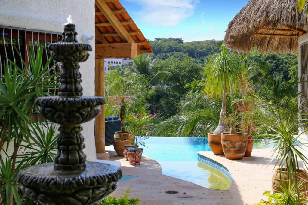 Photo of Others in Sayulita