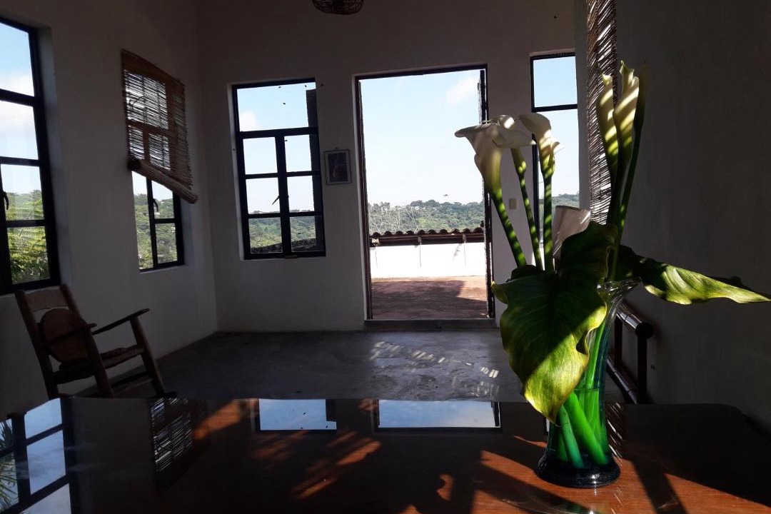 Photo of Others in Cuetzalan del Progreso