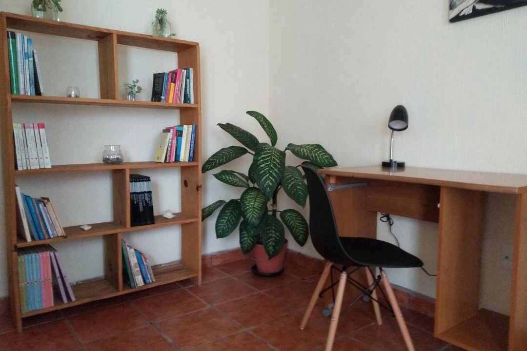 Photo of Livingroom in San Antonio Tlayacapan