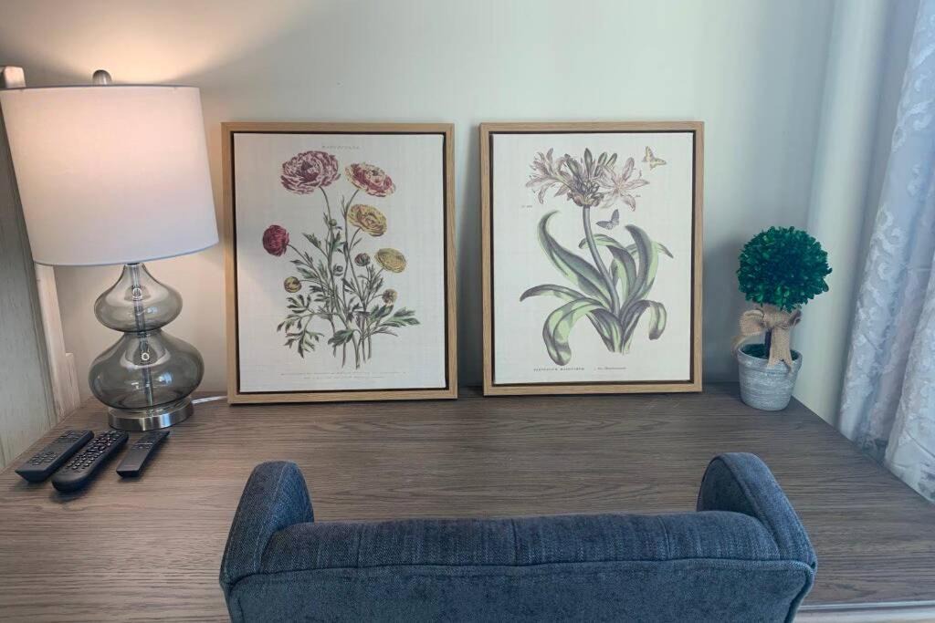 Photo of Livingroom in Old Town West