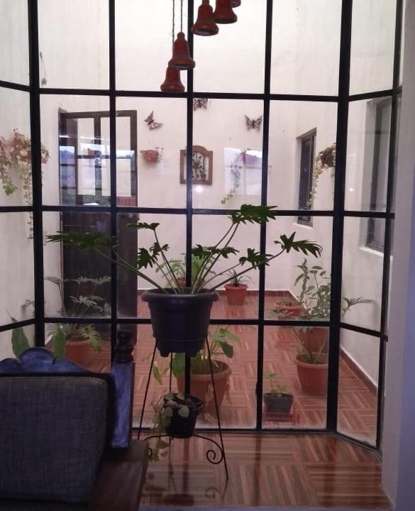 Photo of Livingroom in Mazamitla