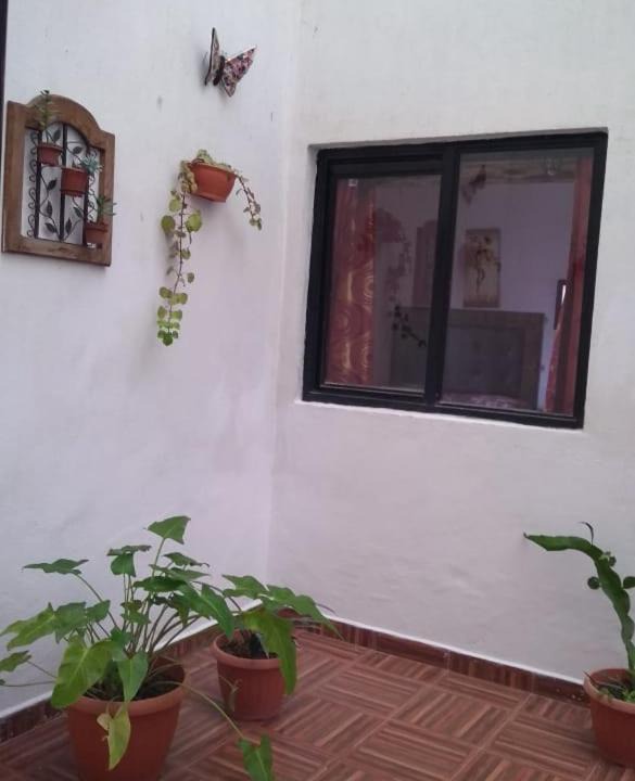 Photo of Livingroom in Mazamitla