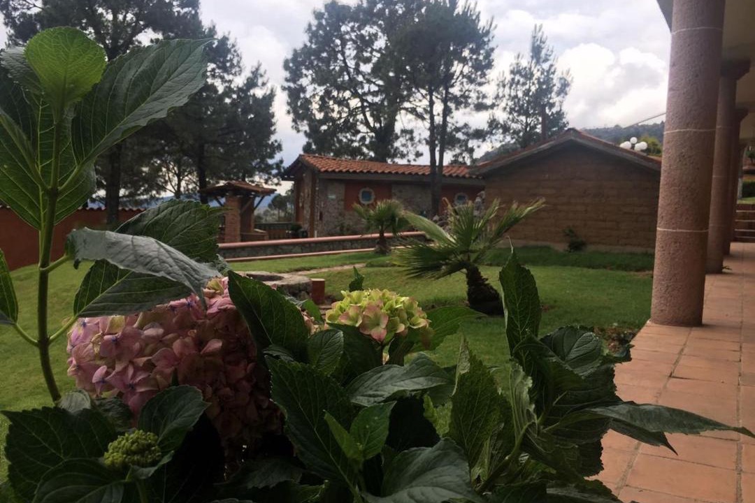 Photo of Others in Tlaxco