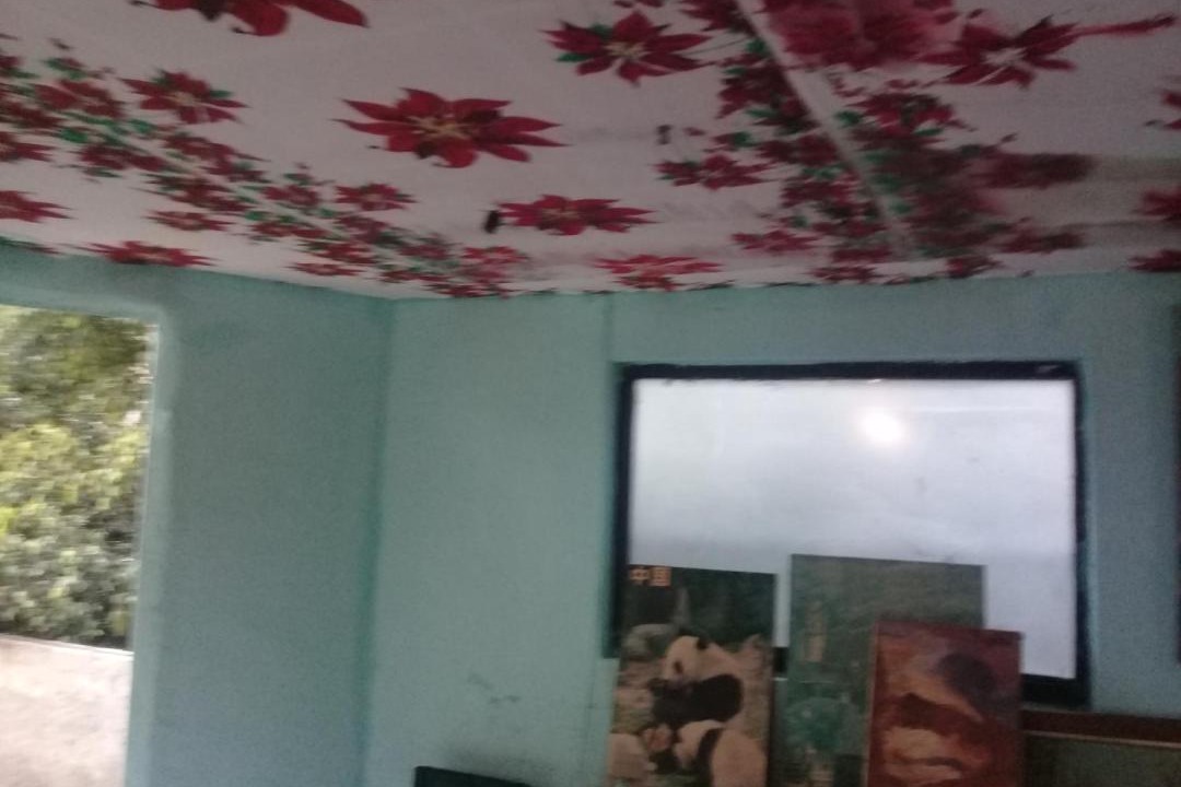 Photo of Livingroom in Tacubaya