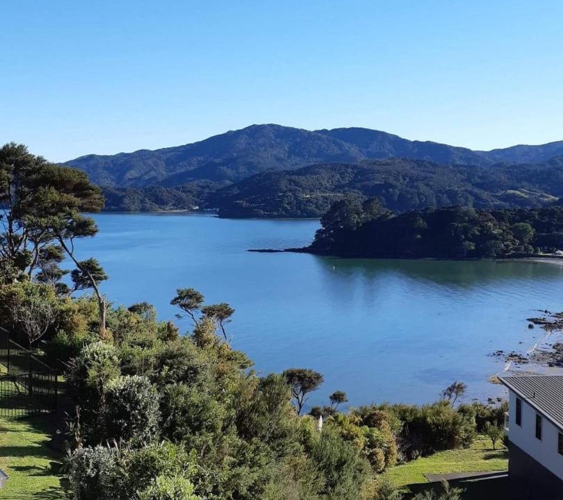 Photo of Others in Coromandel