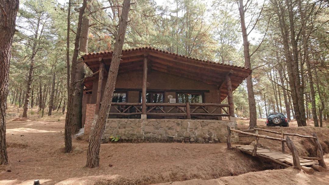 Photo of Others in Tapalpa