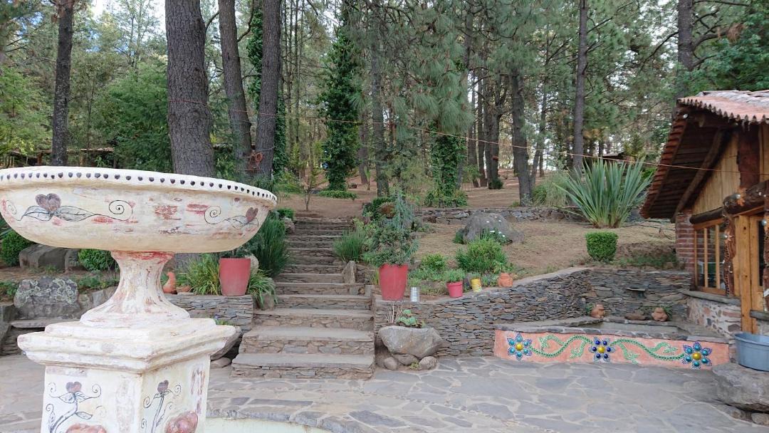 Photo of Others in Tapalpa