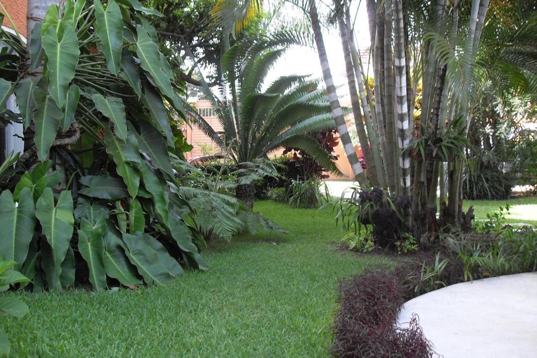 Photo of Others in Catemaco